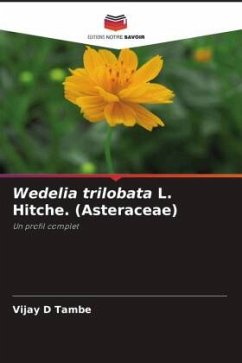 Wedelia trilobata L. Hitche. (Asteraceae) - Tambe, Vijay D