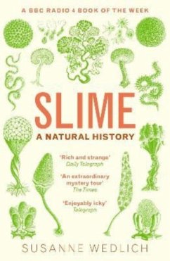 Slime - Wedlich, Susanne