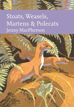 Stoats, Weasels, Martens and Polecats - MacPherson, Jenny