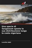 Una specie di Sargassum sposta la sua distribuzione lungo la costa nigeriana