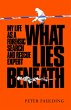 What Lies Beneath - Bild 1