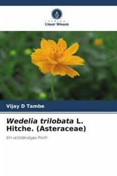 Wedelia trilobata L. Hitche. (Asteraceae) - Tambe, Vijay D