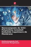 Nanocomposto de SiO2-Polyanilina Coreshell Embutido Copolímero de Membrana