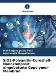 SiO2-Polyanilin-Coreshell-Nanokomposit eingebettete Copolymer-Membran