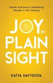 Joy in Plain Sight: Stories and Essays Celebrating Wonder in the Ordinary