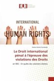 Le Droit international pénal à l'épreuve des violations des Droits