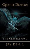 Quest of Draycon: The Crystal Owl