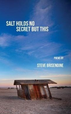 Salt Holds No Secrets But This - Brisendine, Steve