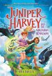 Juniper Harvey and the Vanishing Kingdom - Bild 1