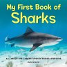 My First Book of Sharks - Bild 1