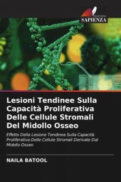 Lesioni Tendinee Sulla Capacità Proliferativa Delle Cellule Stromali Del Midollo Osseo - Batool, Naila