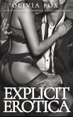 Explicit Erotica (eBook, ePUB)