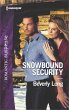 Snowbound Security (eBook, ePUB) - Bild 1
