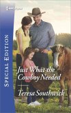 Just What the Cowboy Needed (eBook, ePUB) Just What the Cowboy Needed (eBook, ePUB)