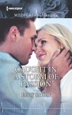 Caught in a Storm of Passion (eBook, ePUB)