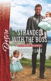 Stranded with the Boss (eBook, ePUB)