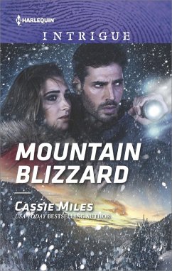 Cover Mountain Blizzard (eBook, ePUB)