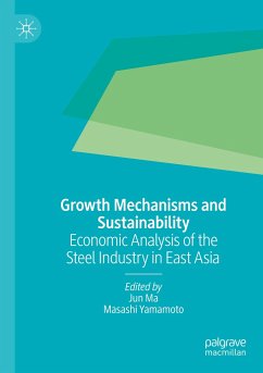 Growth Mechanisms and Sustainability