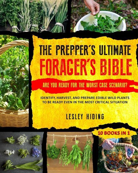 The Prepper's Ultimate Forager's Bible - Identify, Harvest, and Prepare Edible Wild Plants to Be Ready Even in the Most Critical Situation (eBook, ePUB) The Prepper's Ultimate Forager's Bible - Identify, Harvest, and Prepare Edible Wild Plants to Be Ready Even in the Most Critical Situation (eBook, ePUB)