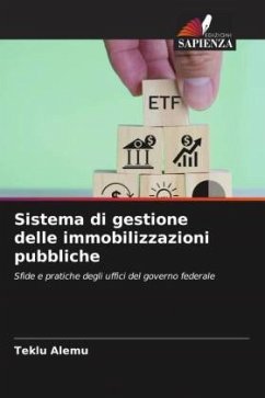 Sistema di gestione delle immobilizzazioni pubbliche - Alemu, Teklu