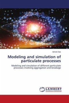 Modeling and simulation of particulate processes