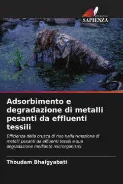 Adsorbimento e degradazione di metalli pesanti da effluenti tessili - Bhaigyabati, Thoudam