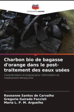 Charbon bio de bagasse d'orange dans le post-traitement des eaux usées - Santos de Carvalho, Roseanne;Guirado Faccioli, Gregorio;P. M. Arguelho, Maria L.