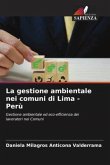 La gestione ambientale nei comuni di Lima - Perù