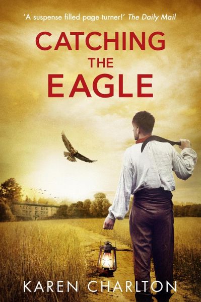 Catching The Eagle (eBook, ePUB)