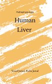 Human Liver (eBook, ePUB)