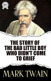 The Story of the Bad Little Boy Who Didn't Come to Grief (eBook, ePUB)