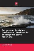 Sargassum Espécies Desloca-se Distribuição ao longo da costa nigeriana