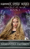 Angels At War (Summer Spirit Series, #1) (eBook, ePUB)