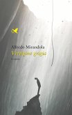 Vertigine grigia (eBook, ePUB)