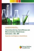 Cianobactérias Aerofíticas em Monumentos Históricos - Salvador, BA, BR