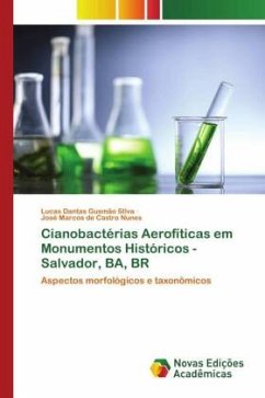 Cianobactérias Aerofíticas em Monumentos Históricos - Salvador, BA, BR - Gusmão SIlva, Lucas Dantas;de Castro Nunes, José Marcos