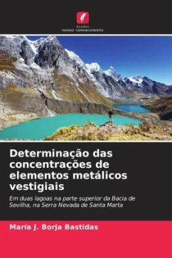 Determinação das concentrações de elementos metálicos vestigiais - Borja Bastidas, María J.