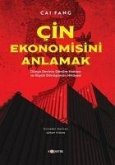 Cin Ekonomisini Anlamak