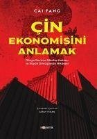 Cin Ekonomisini Anlamak - Fang, Cai