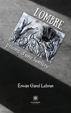 L'ombre, prisme d'une lumière - Erwan Garel Lebrun