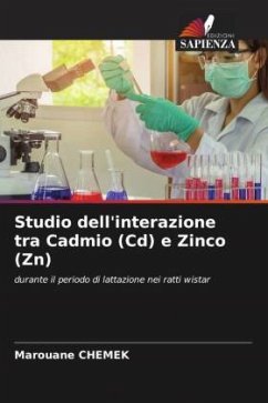 Studio dell'interazione tra Cadmio (Cd) e Zinco (Zn) - Chemek, Marouane