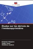 Études sur les dérivés de l'imidazopyrimidine