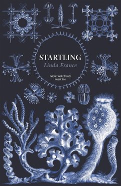 Cover Startling (eBook, ePUB)
