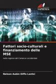 Fattori socio-culturali e finanziamento delle MSE