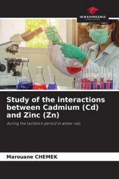 Study of the interactions between Cadmium (Cd) and Zinc (Zn) - Chemek, Marouane