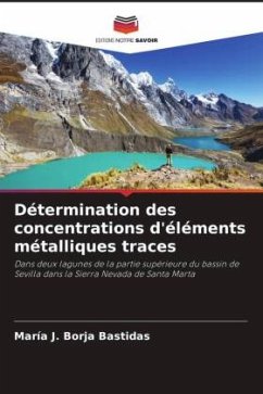 Détermination des concentrations d'éléments métalliques traces - Borja Bastidas, María J.