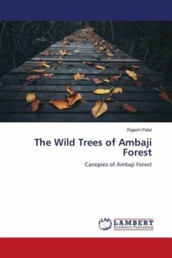 The Wild Trees of Ambaji Forest