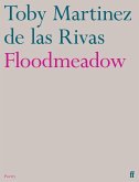 Floodmeadow (eBook, ePUB)