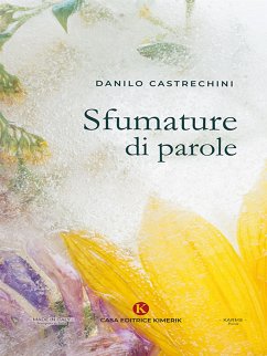 Sfumature di parole (eBook, ePUB) - Castrechini, Danilo