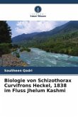 Biologie von Schizothorax Curvifrons Heckel, 1838 im Fluss Jhelum Kashmi